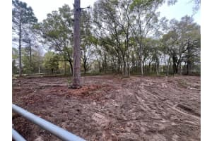 15574 ROCKINGHAM LANE, SPRING HILL, FL 34610 - MLS#MFRTB8461635