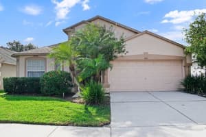 3843 Briley Loop, LAND O LAKES