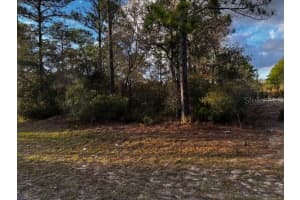 7082 TREEHAVEN TERRACE, CITRUS SPRINGS, FL 34433 - MLS#MFRTB8461671