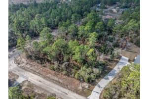 7082 TREEHAVEN TERRACE, CITRUS SPRINGS, FL 34433 - MLS#MFRTB8461671