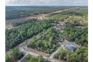 7082 TREEHAVEN TERRACE, CITRUS SPRINGS, FL 34433 - MLS#MFRTB8461671