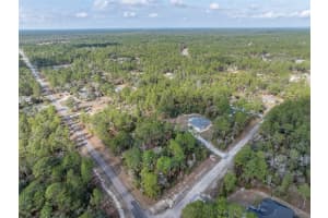 7082 TREEHAVEN TERRACE, CITRUS SPRINGS, FL 34433 - MLS#MFRTB8461671