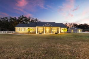 12305 TWIN BRANCH ACRES ROAD, TAMPA, FL 33626 - MLS#MFRTB8461676