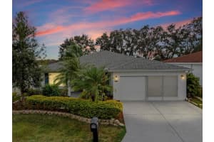 29146 PRINCEVILLE DRIVE, SAN ANTONIO, FL 33576 - MLS#MFRTB8461692