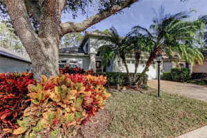 11503 HERITAGE POINT DRIVE, HUDSON, FL 34667 - MLS#MFRTB8461698