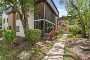 11809 Raintree Lake Ln #a, TAMPA