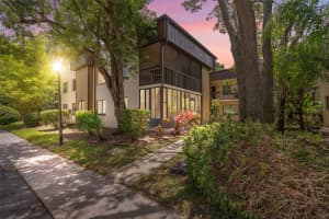 11809 RAINTREE LAKE LANE, TAMPA, FL 33617 - MLS#MFRTB8461716