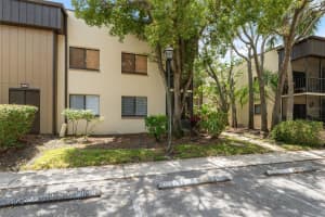 11809 RAINTREE LAKE LANE, TAMPA, FL 33617 - MLS#MFRTB8461716