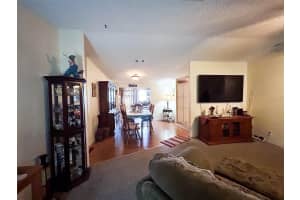 10423 GOSHAWK DRIVE, RIVERVIEW, FL 33578 - MLS#MFRTB8461717