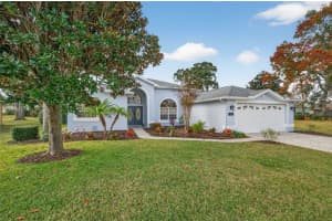 14178 PULLMAN DRIVE, SPRING HILL, FL 34609 - MLS#MFRTB8461727
