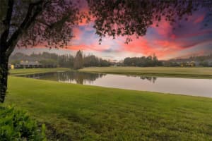 18214 PARADISE POINT DRIVE, TAMPA, FL 33647 - MLS#MFRTB8461805