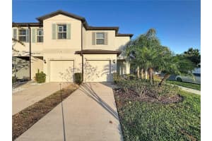 3942 Wild Senna Blvd, TAMPA