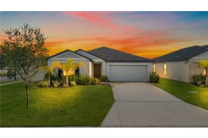 4020 GREAT VESSEL PLACE, PLANT CITY, FL 33565 - MLS#MFRTB8461824