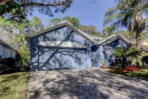 11923 DERBYSHIRE DRIVE, TAMPA, FL 33626 - MLS#MFRTB8461849