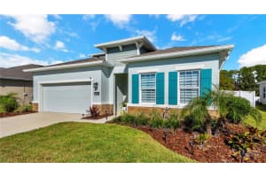 29271 Sedgeway Blvd, WESLEY CHAPEL 29271 Sedgeway Blvd, WESLEY CHAPEL