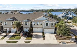 2313 SUNSET WIND LOOP, OLDSMAR, FL 34677 - MLS#MFRTB8461950
