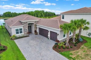 32179 LOGAN ELM TERRACE, WESLEY CHAPEL, FL 33543 - MLS#MFRTB8461954
