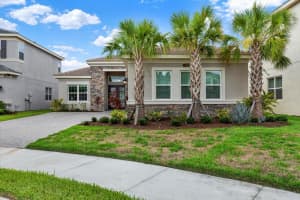 32179 LOGAN ELM TERRACE, WESLEY CHAPEL, FL 33543 - MLS#MFRTB8461954