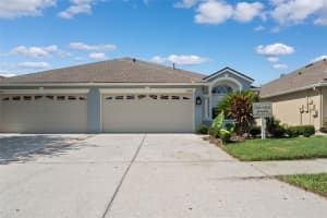 31806 LARKENHEATH DRIVE, WESLEY CHAPEL, FL 33543 - MLS#MFRTB8461959