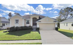 1025 LAKE AVOCA PLACE, TARPON SPRINGS, FL 34689 - MLS#MFRTB8461975