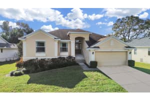 1025 LAKE AVOCA PLACE, TARPON SPRINGS, FL 34689 - MLS#MFRTB8461975