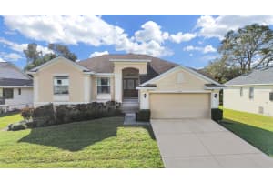1025 LAKE AVOCA PLACE, TARPON SPRINGS, FL 34689 - MLS#MFRTB8461975