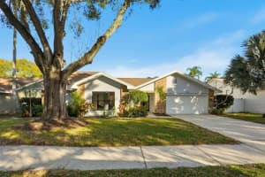 1110 WOODCREST AVENUE, SAFETY HARBOR, FL 34695 - MLS#MFRTB8461991