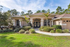 7049 POPPAS PASS, BROOKSVILLE, FL 34602 - MLS#MFRTB8462041