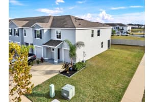 33018 FROSTED CLOVER WAY, WESLEY CHAPEL, FL 33545 - MLS#MFRTB8462052