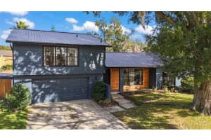 16303 Calidonia Ln, TAMPA