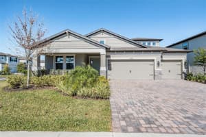 33091 Sycamore Leaf Dr, WESLEY CHAPEL