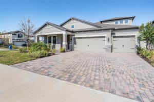 33091 SYCAMORE LEAF DRIVE, WESLEY CHAPEL, FL 33545 - MLS#MFRTB8462068