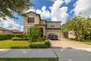 18754 BIRCHWOOD GROVES DRIVE, LUTZ, FL 33558 - MLS#MFRTB8462105