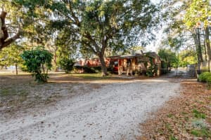 12104 ANDERSON DRIVE, RIVERVIEW, FL 33579 - MLS#MFRTB8462125