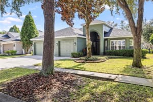 6216 WHIMBRELWOOD DRIVE, LITHIA, FL 33547 - MLS#MFRTB8462129