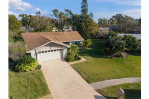 1658 MACDONNELL COURT, PALM HARBOR, FL 34684 - MLS#MFRTB8462135