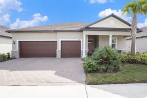 17100 FORGE SURF STREET, LAND O LAKES, FL 34638 - MLS#MFRTB8462144