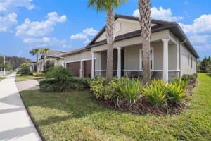 17100 FORGE SURF STREET, LAND O LAKES, FL 34638 - MLS#MFRTB8462144