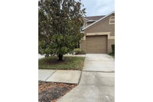 18919 Duquesne Dr, TAMPA