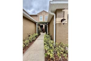 18919 DUQUESNE DRIVE, TAMPA, FL 33647 - MLS#MFRTB8462186