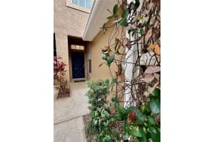 18919 DUQUESNE DRIVE, TAMPA, FL 33647 - MLS#MFRTB8462186