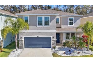 32975 Sand Creek Dr, WESLEY CHAPEL 32975 Sand Creek Dr, WESLEY CHAPEL