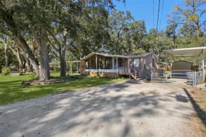 10806 MAGNOLIA DRIVE, THONOTOSASSA, FL 33592 - MLS#MFRTB8462239
