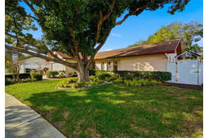 3103 BENTWOOD LANE, SAFETY HARBOR, FL 34695 - MLS#MFRTB8462262