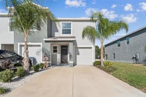 34267 Sorrel Mint Dr, WESLEY CHAPEL