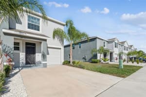 34267 SORREL MINT DRIVE, WESLEY CHAPEL, FL 33543 - MLS#MFRTB8462263