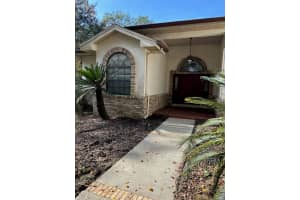 8311 Shenandoah Run, WESLEY CHAPEL 8311 Shenandoah Run, WESLEY CHAPEL