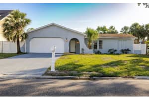 10733 Drummond Rd, TAMPA