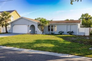 10733 DRUMMOND ROAD, TAMPA, FL 33615 - MLS#MFRTB8462293