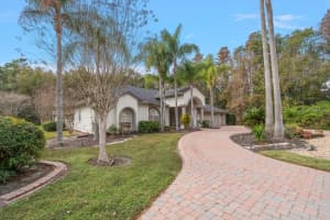 5243 FOXHUNT DRIVE, WESLEY CHAPEL, FL 33543 - MLS#MFRTB8462307